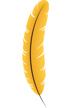 feather bird yellow color png