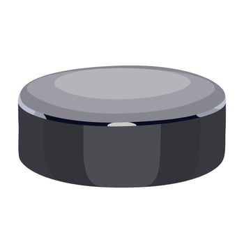 Ice puck for hockey players vector