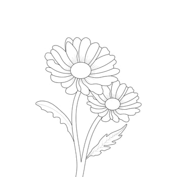 Daisy Flower Coloring Page And Book Line Art Vector
