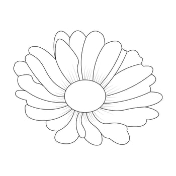 Daisy Flower Coloring Page And Book Line Art Vector