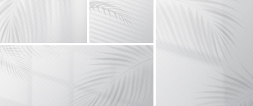 Palm leaves shadow overlay on wall vector