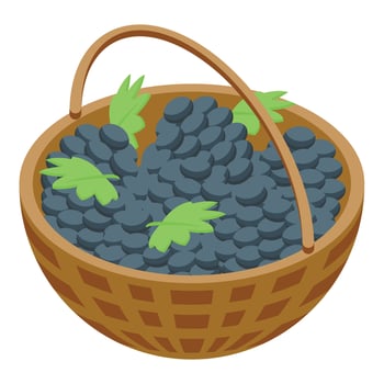 Grapes basket icon isometric vector. Winery grapes vector