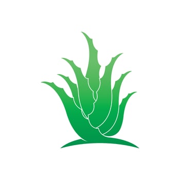 Aloe Vera logo icon design symbol beauty vector