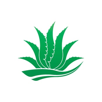 Aloe Vera logo icon design symbol beauty vector