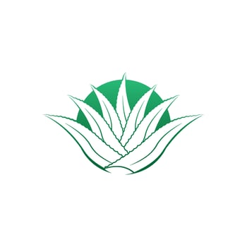 Aloe Vera logo icon design symbol beauty vector