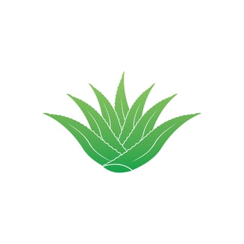 Aloe Vera logo icon design symbol beauty vector