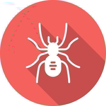 Tarantula Vector Icon