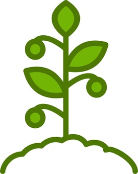 Tomato Vector Icon