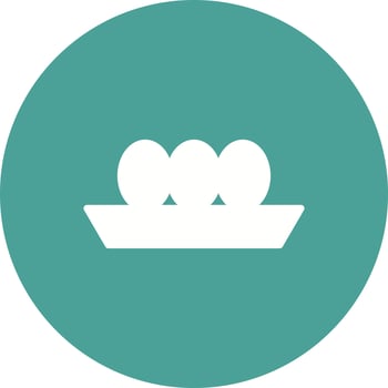 Egg Tray icon vector
