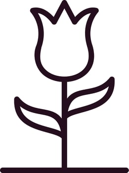 Tulip Vector Icon