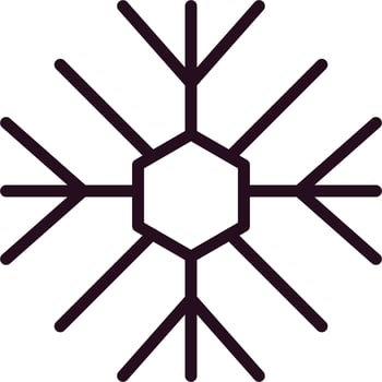 Snowflake Vector Icon