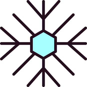 Snowflake Vector Icon