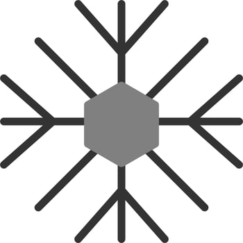 Snowflake Vector Icon