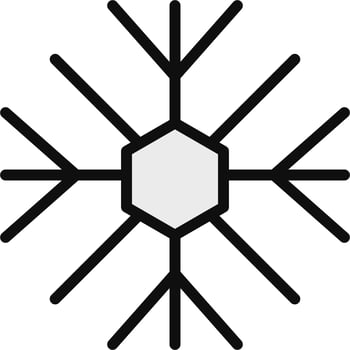 Snowflake Vector Icon