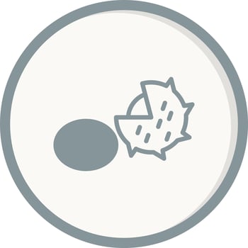 Chestnut Vector Icon