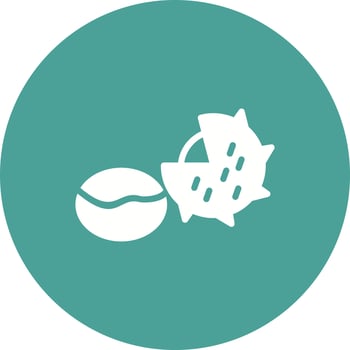 Chestnut Vector Icon