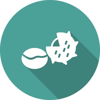 Chestnut Vector Icon