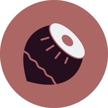 Hazelnut Vector Icon