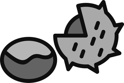 Chestnut Vector Icon