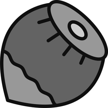 Hazelnut Vector Icon