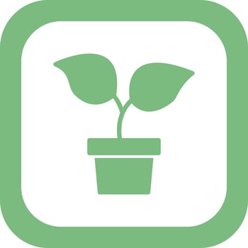 Plant Vector Icon