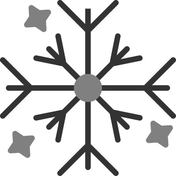 Snow Vector Icon