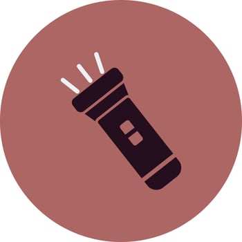 Flash Light Vector Icon