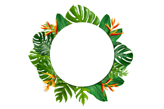 Tropical forest with leaves and flowers surrounding a white circle frame Isolated on transparent background PNG file