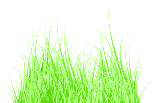 green grass png
