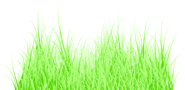 green grass png