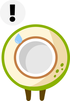 Coconut Cartoon Character png
