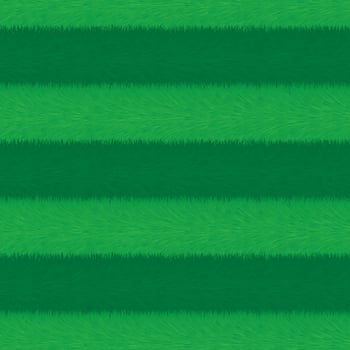 Empty sports arena grass field background vector