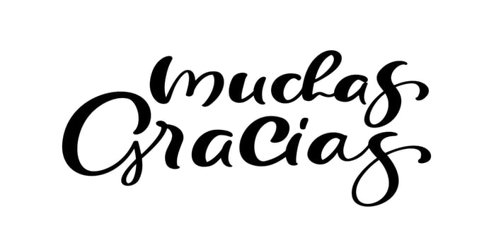 Thank you vector lettering text in spanish Muchas Gracias. Hand drawn phrase. Handwritten modern brush calligraphy for invitation and greeting card, t-shirt, prints and posters