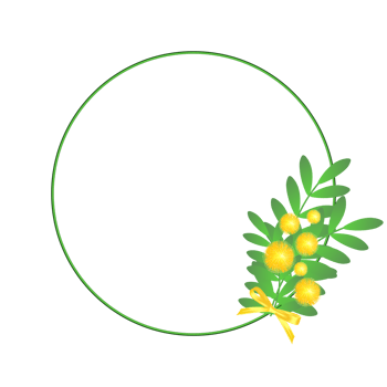 Round frame with yellow mimosa isolated on transparent background. Greeting template for festive cards, posters, social media post, Easter announcements. Copy space. PNG