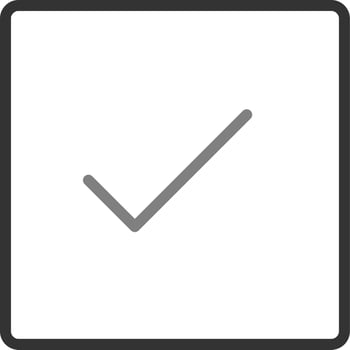 Check Vector Icon