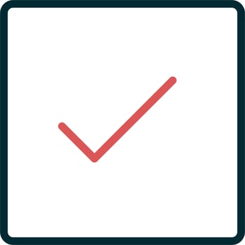 Check Vector Icon