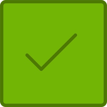 Check Vector Icon