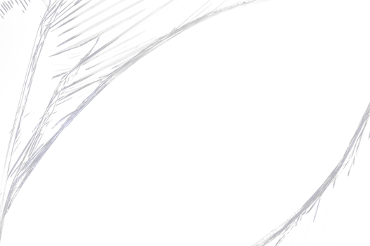 abstract plastic frame overlay png