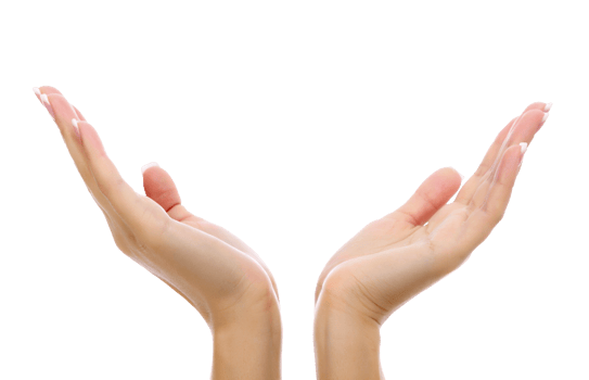 Female hands, isolated png