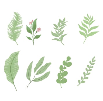 Green leaves collection vector