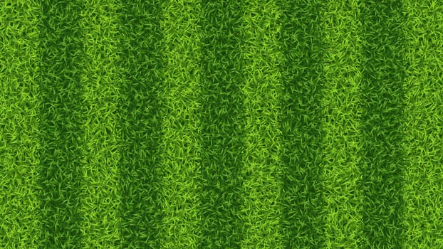 Striped soccer football grass field vector texture. Green grass pattern for sport background