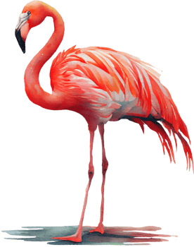 Pink Flamingo Watercolor png
