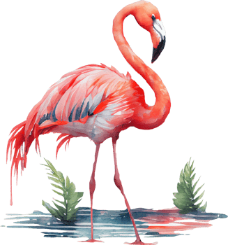 Pink Flamingo Watercolor png