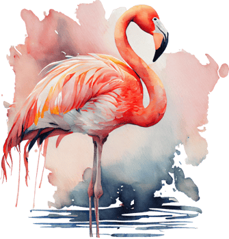 Pink Flamingo Watercolor png
