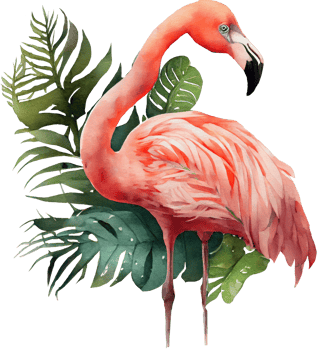 Pink Flamingo Watercolor png