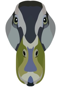 Duck face. An illustration of the muzzle of a platypus bird is depicted. Bright portrait on a white background. Vector graphics. animal logo