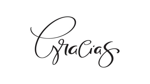 Thank you vector lettering text in spanish Gracias. Hand drawn phrase. Handwritten modern brush calligraphy for invitation and greeting card, t-shirt, prints and posters