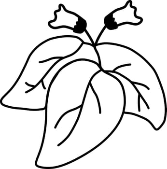roses, plants, green leaves, flowers vector