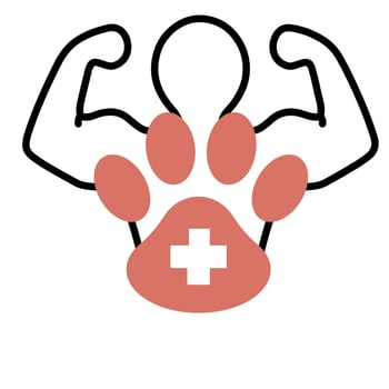 Human body vector illustration, human icon