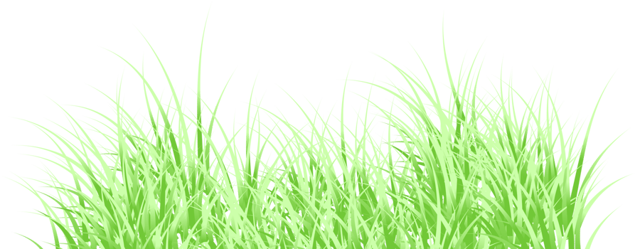 green grass png